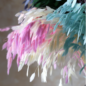 Preserved Grass Orange | Northen Sea Oat